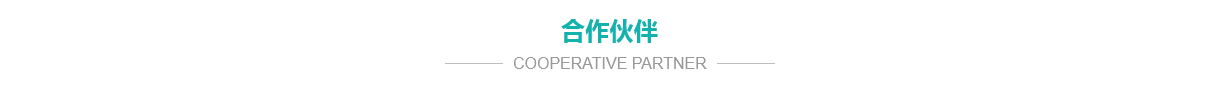 公司简介