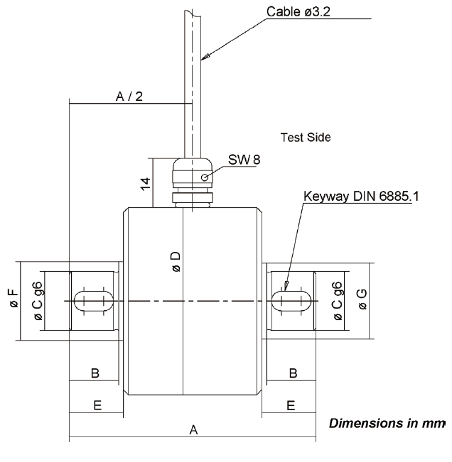 TS21