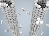 一种新型DNA生物传感器的简要原理介绍